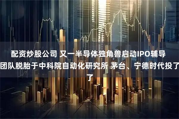 配资炒股公司 又一半导体独角兽启动IPO辅导 团队脱胎于中科院自动化研究所 茅台、宁德时代投了